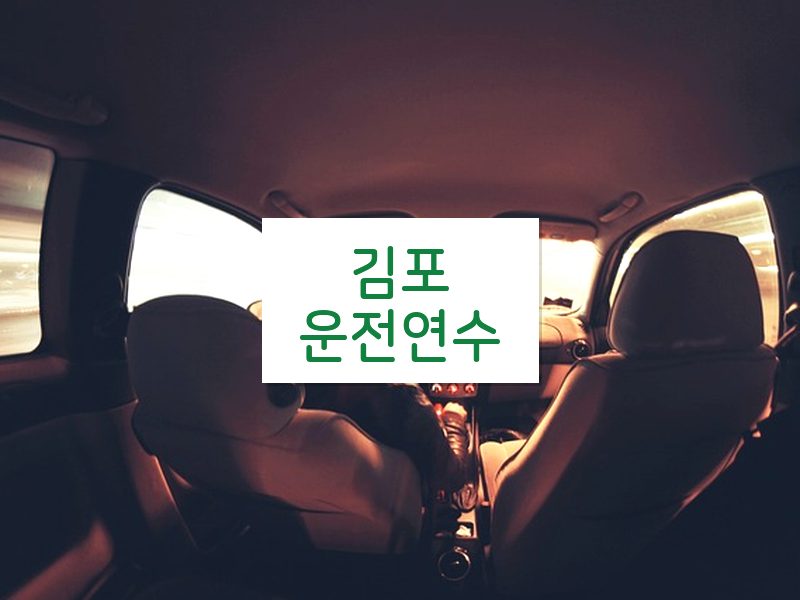 김포운전연수 후기