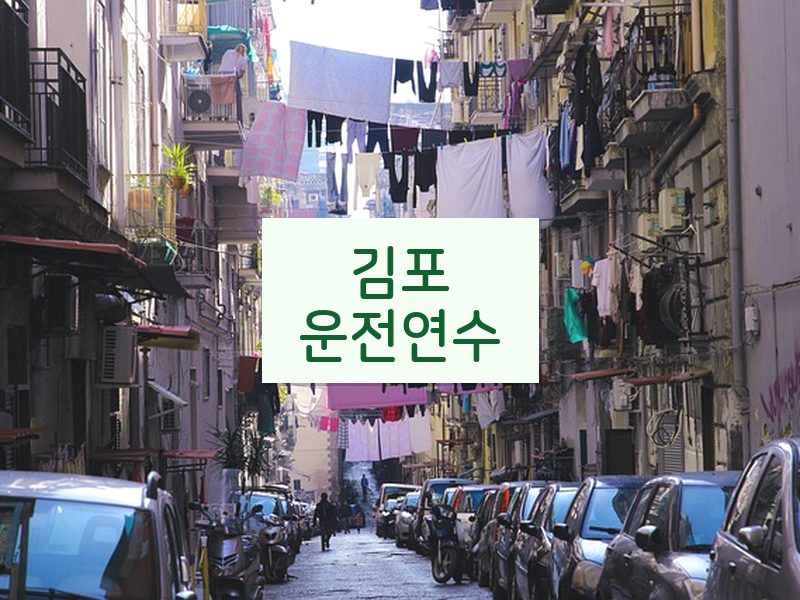 김포운전연수 후기
