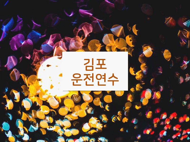 김포운전연수 후기