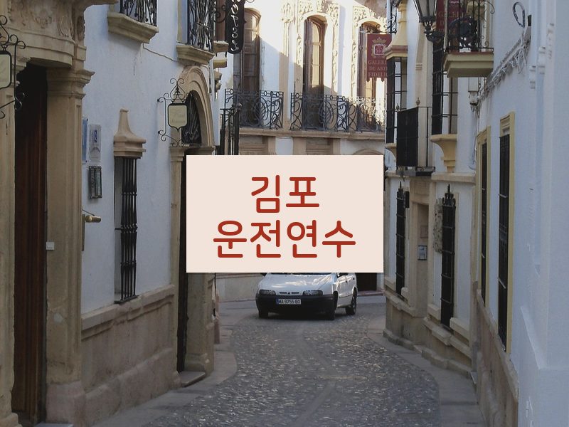 김포운전연수 후기