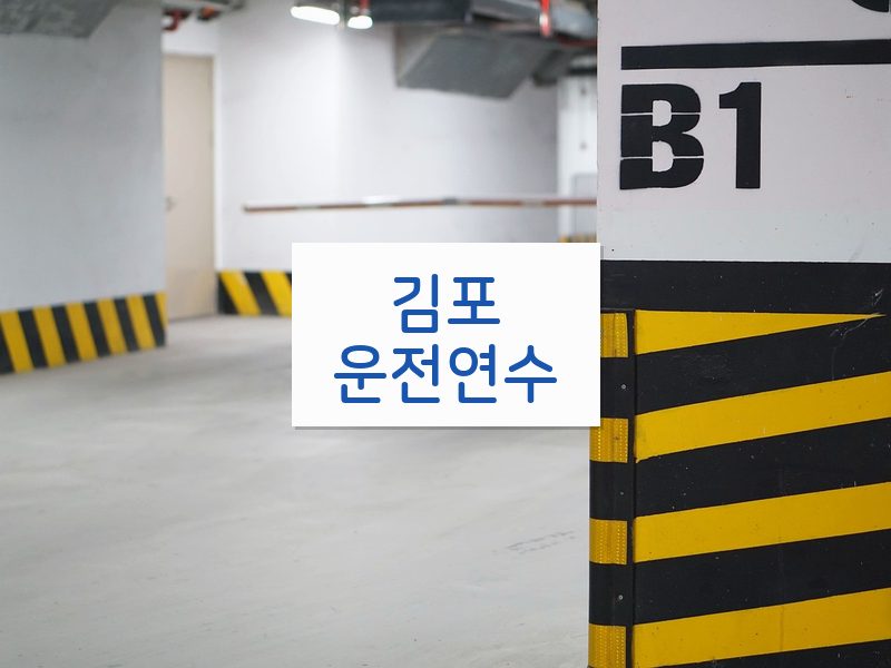 김포운전연수 후기