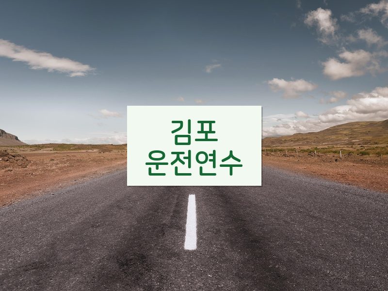 김포운전연수 후기