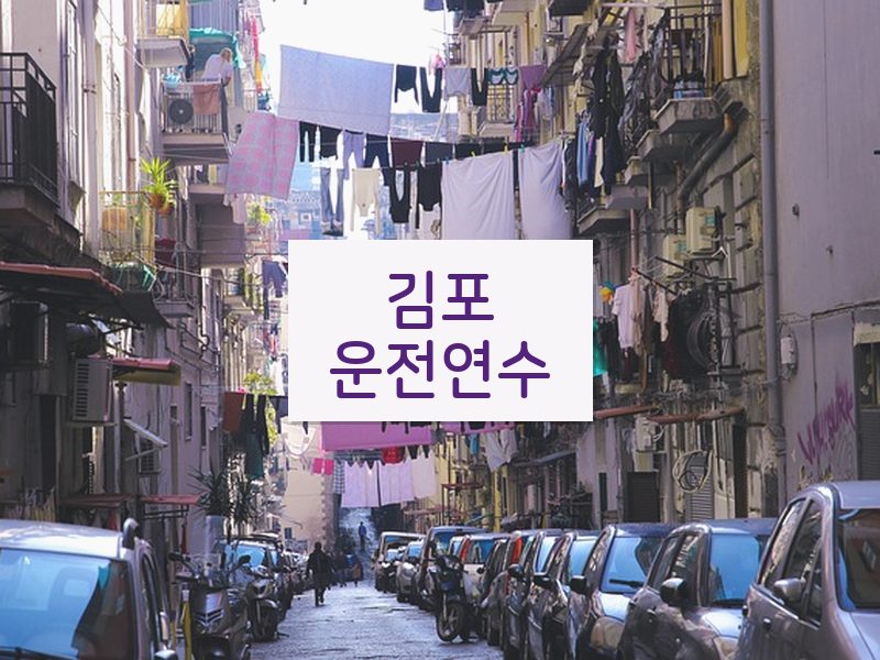 김포운전연수 후기