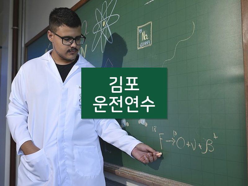 김포운전연수 후기