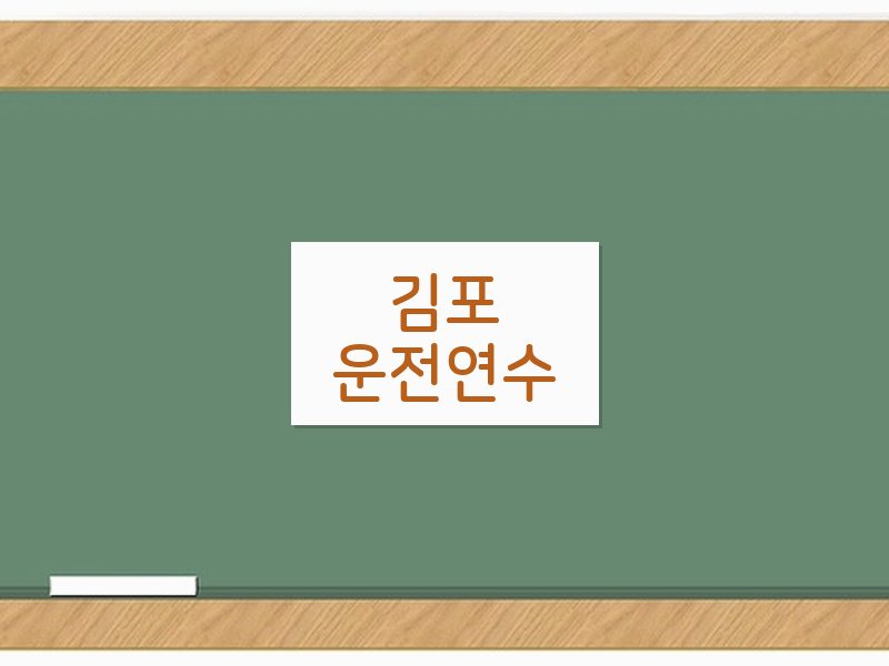 김포운전연수 후기