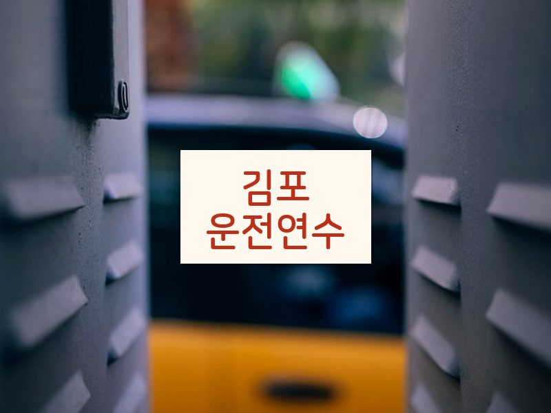 김포운전연수 후기