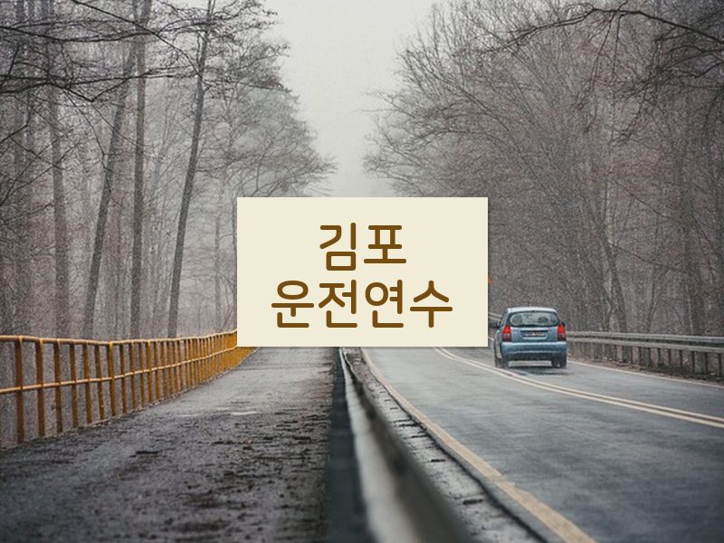 김포운전연수 후기