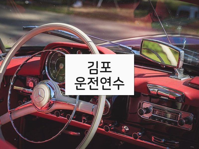 김포운전연수 후기