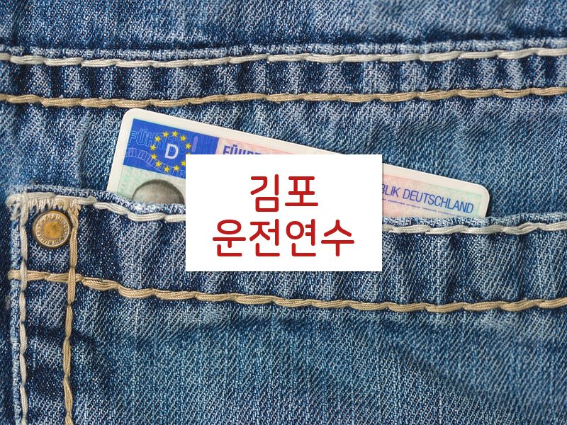 김포운전연수 후기
