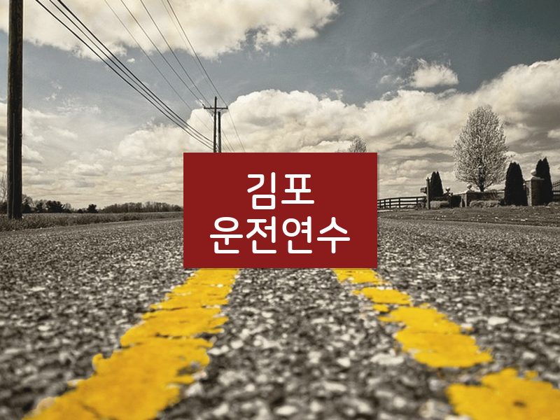 김포운전연수 후기
