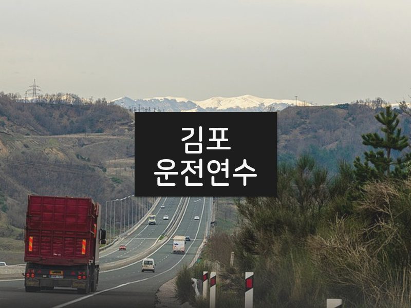 김포운전연수 후기