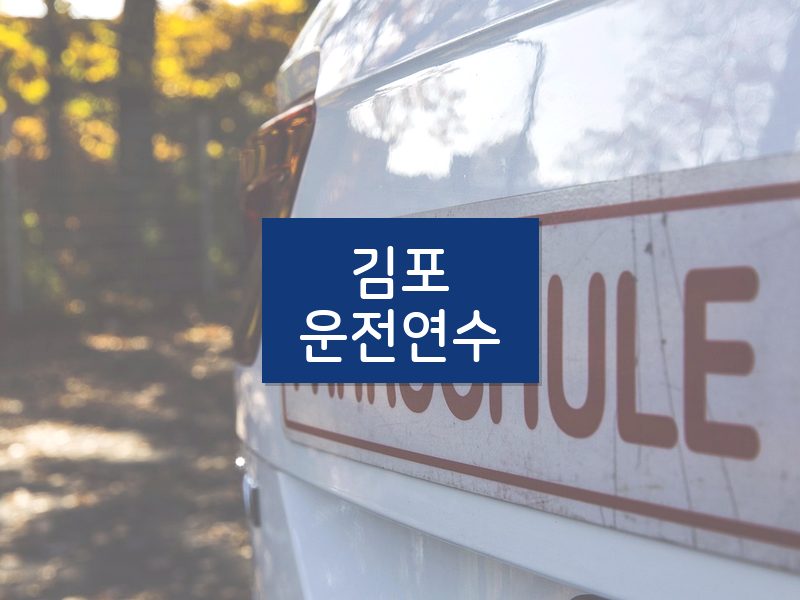 김포운전연수 후기