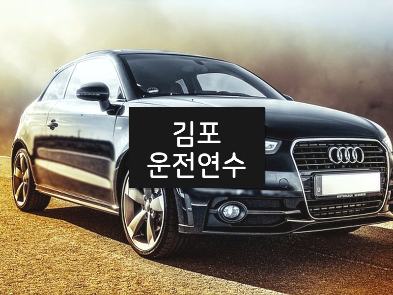 김포운전연수 후기