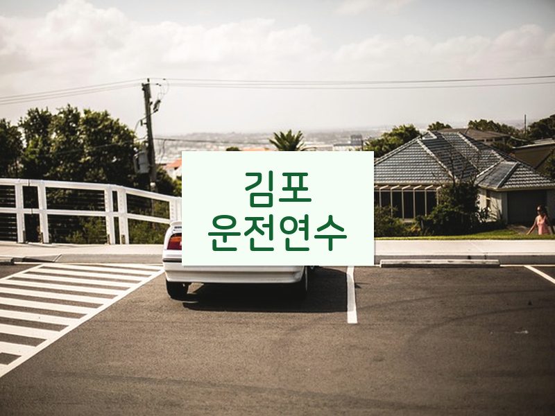 김포운전연수 후기