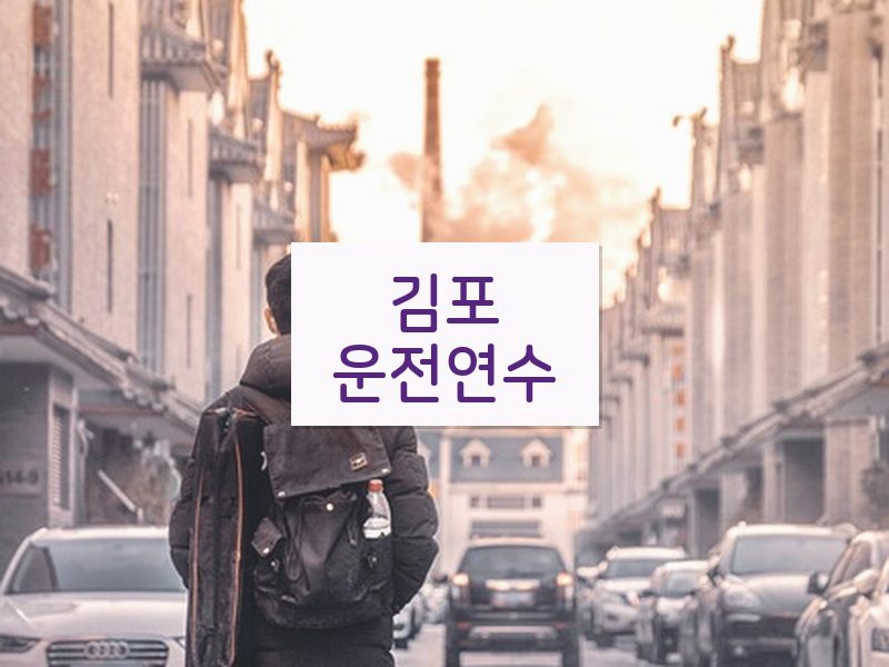 김포운전연수 후기