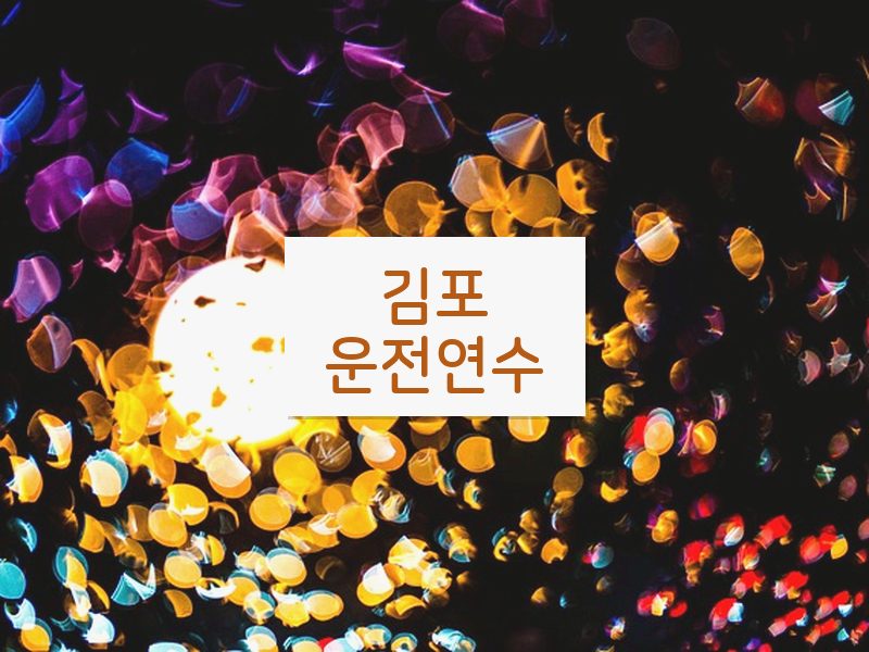 김포운전연수 후기