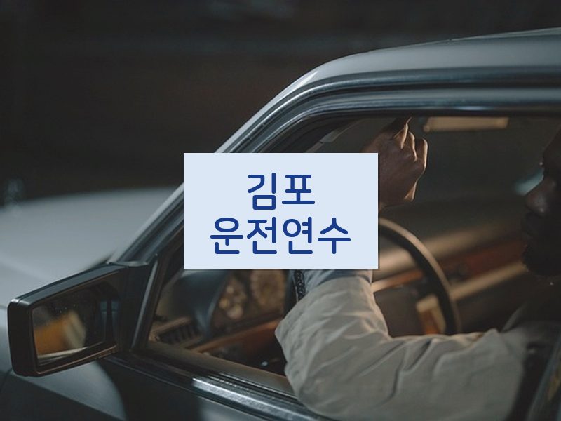김포운전연수 후기