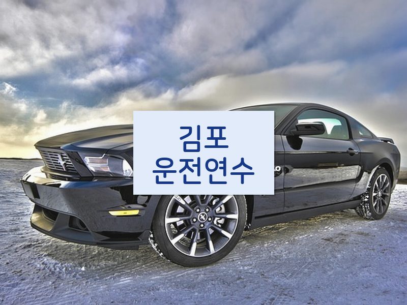 김포운전연수 후기