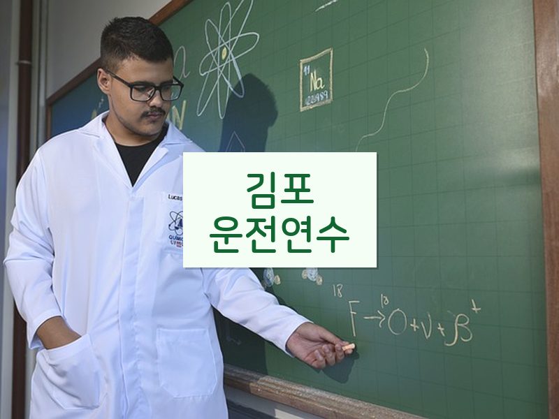 김포운전연수 후기