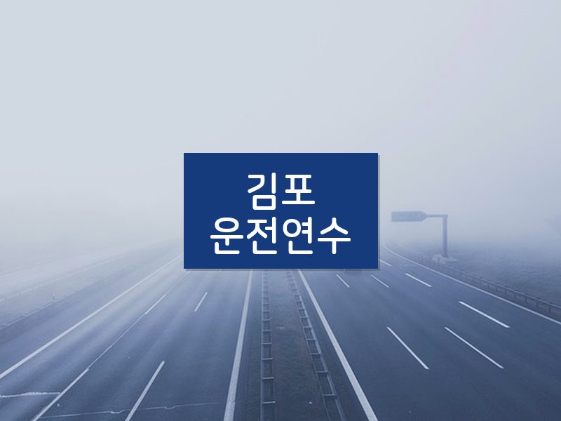 김포운전연수 후기