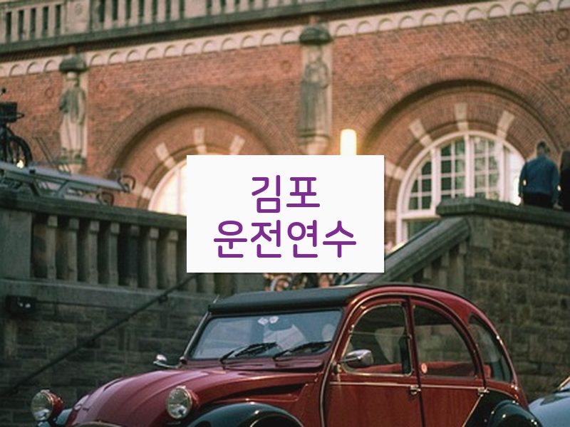 김포운전연수 후기