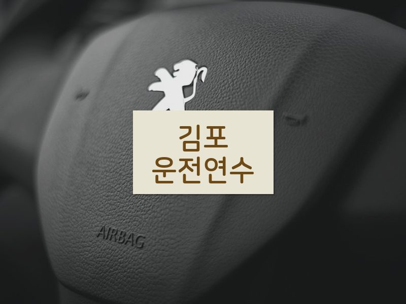 김포운전연수 후기