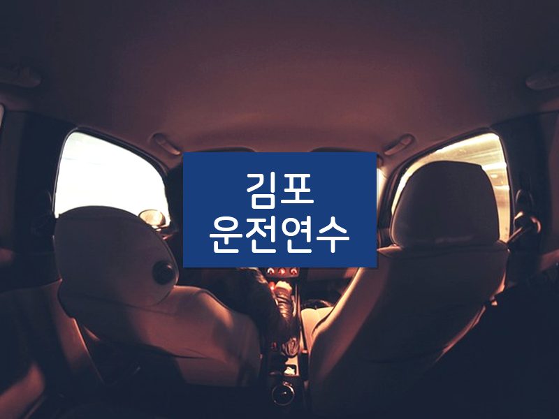 김포운전연수 후기