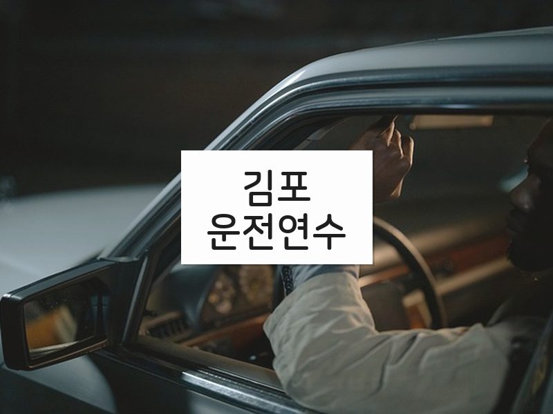 김포운전연수 후기