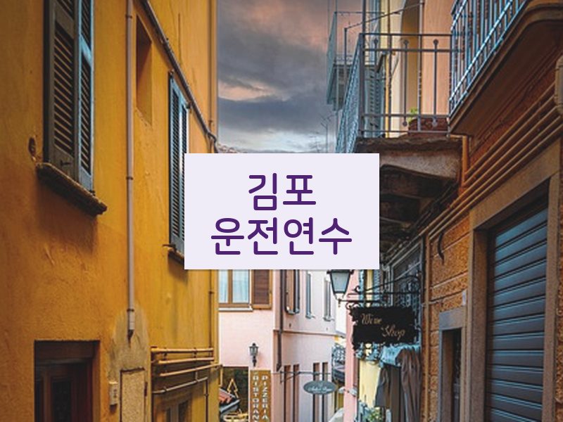 김포운전연수 후기