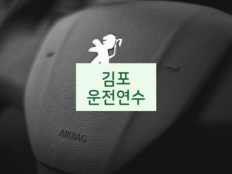 김포운전연수 후기