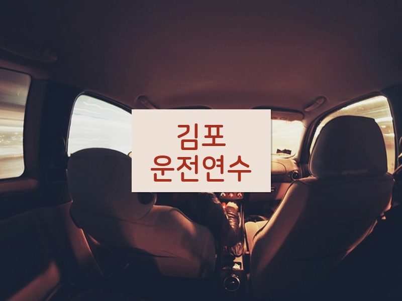 김포운전연수 후기