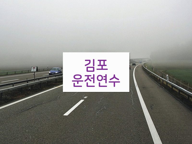 김포운전연수 후기