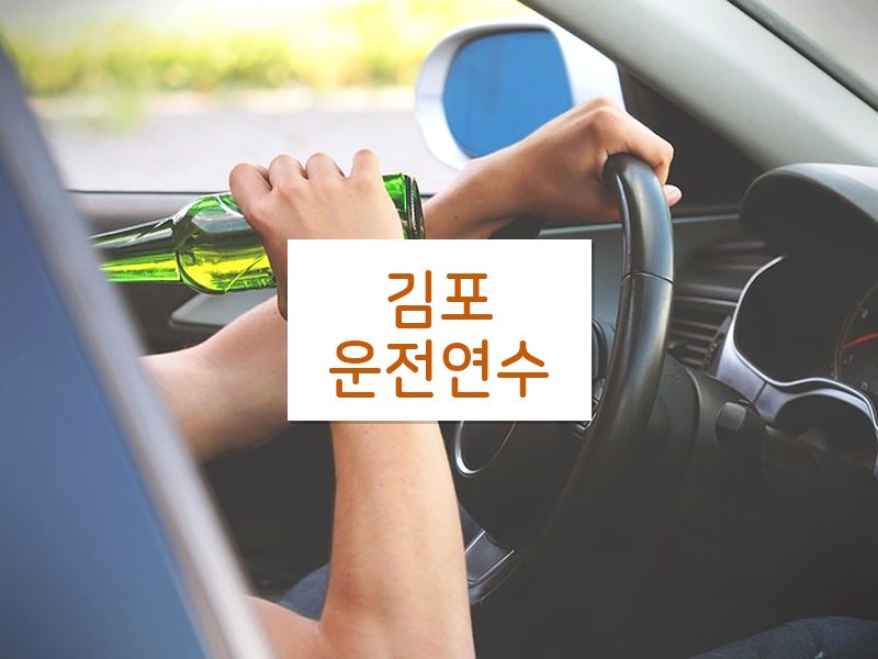 김포운전연수 후기