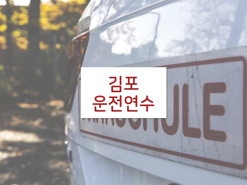 김포운전연수 후기