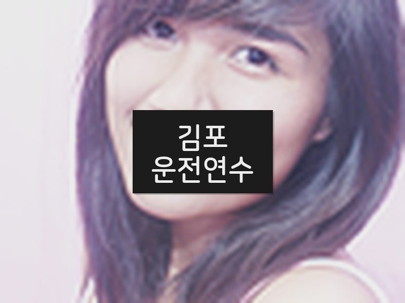 김포운전연수 후기