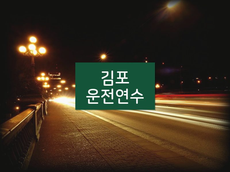 김포운전연수 후기