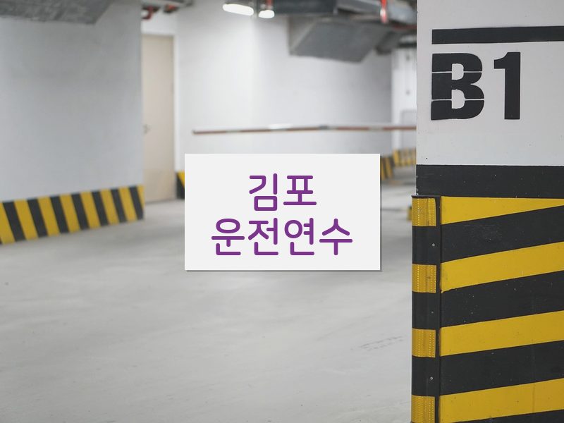 김포운전연수 후기