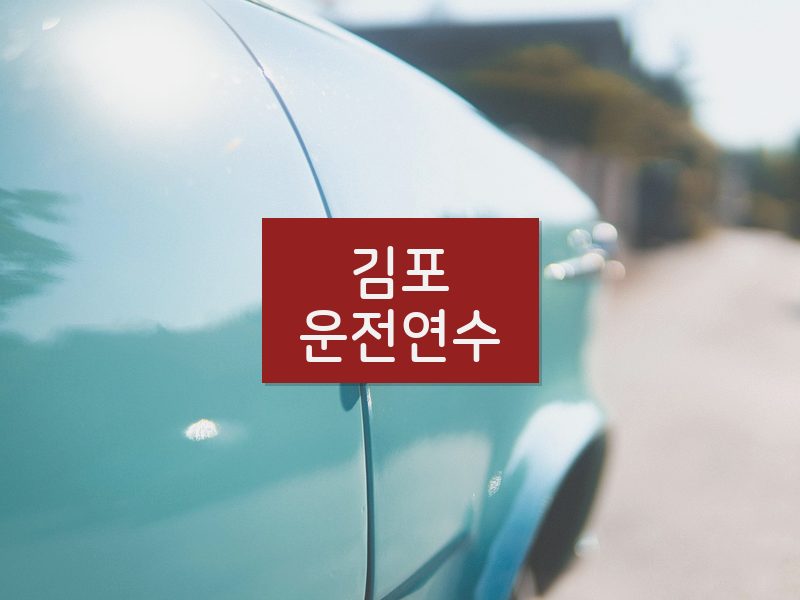 김포운전연수 후기