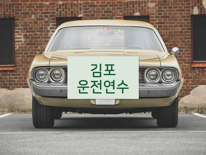 김포운전연수 후기