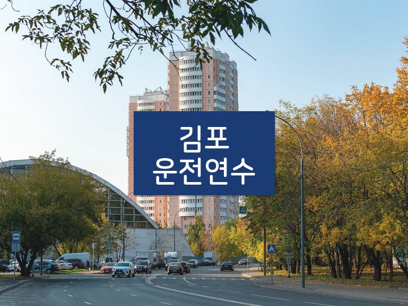 김포운전연수 후기