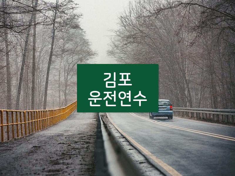 김포운전연수 후기
