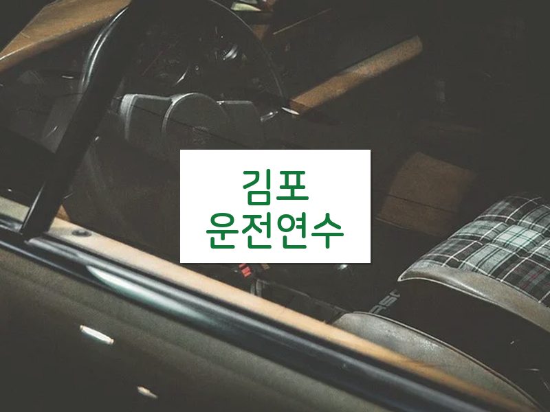 김포운전연수 후기