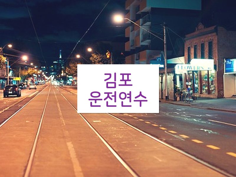 김포운전연수 후기