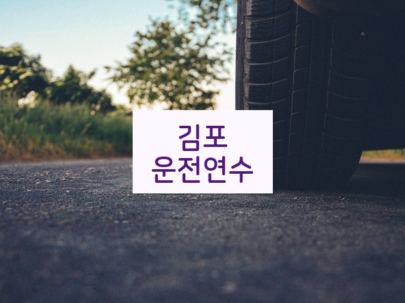 김포운전연수 후기