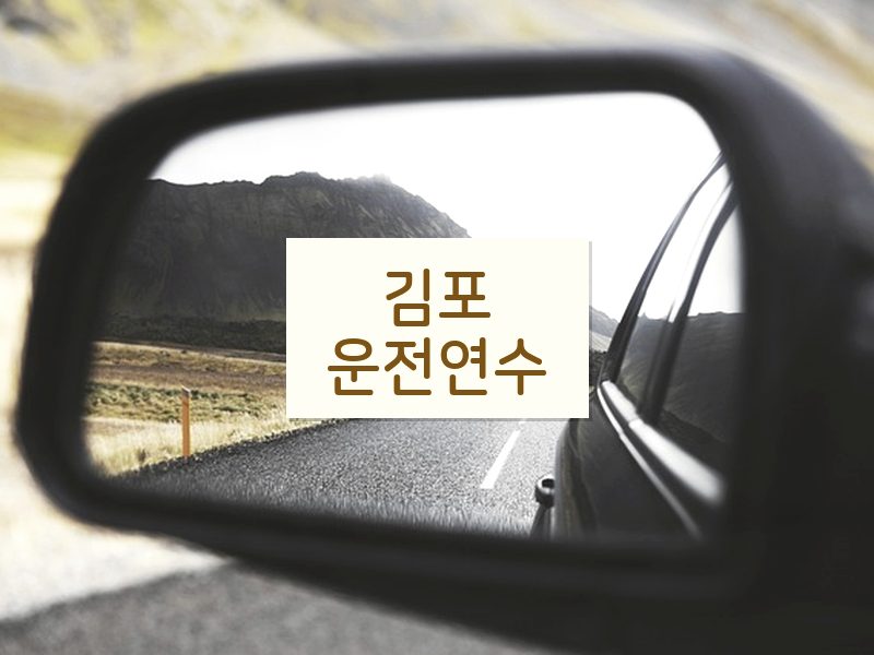 김포운전연수 후기