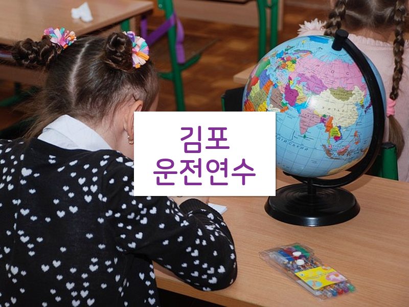 김포운전연수 후기