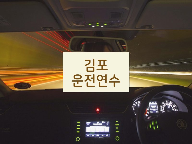 김포운전연수 후기