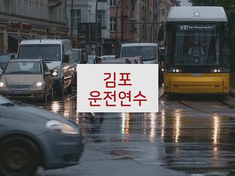 김포운전연수 후기