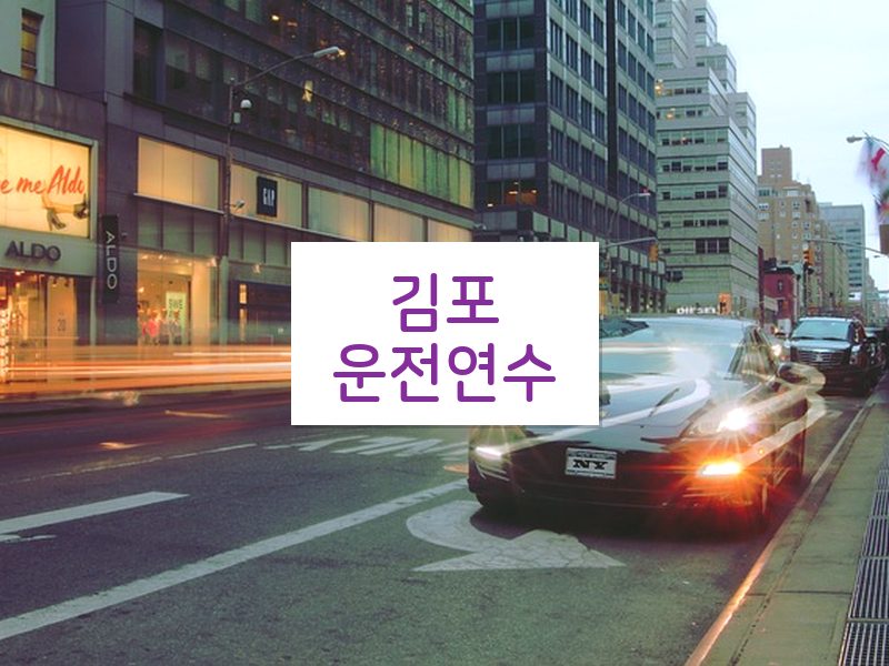 김포운전연수 후기