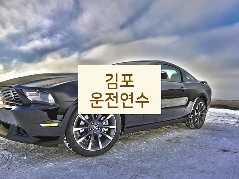 김포운전연수 후기